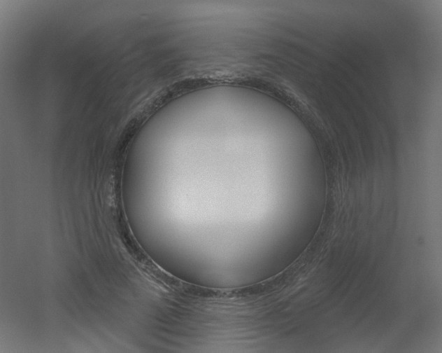 X0000051860689200506241003