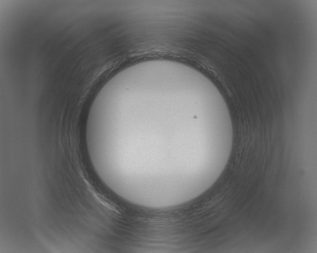 X0000051860690200506241003