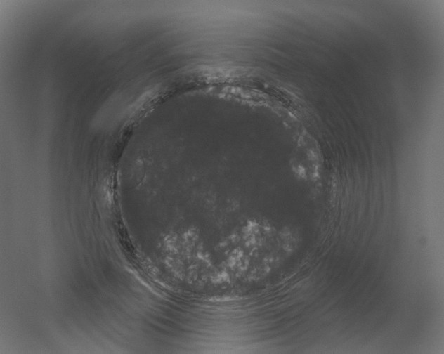 X0000051860691200506241003