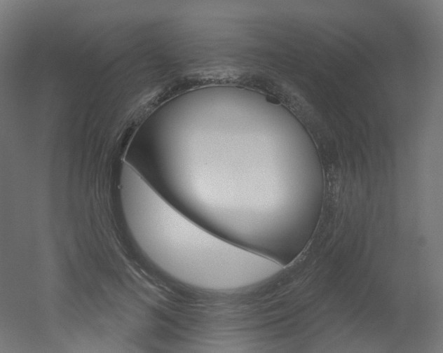 X0000051860692200506241003