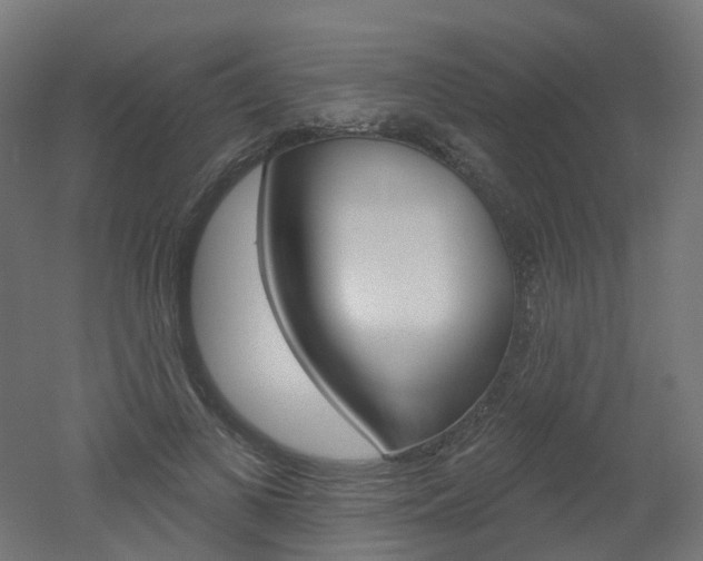 X0000051860693200506241002