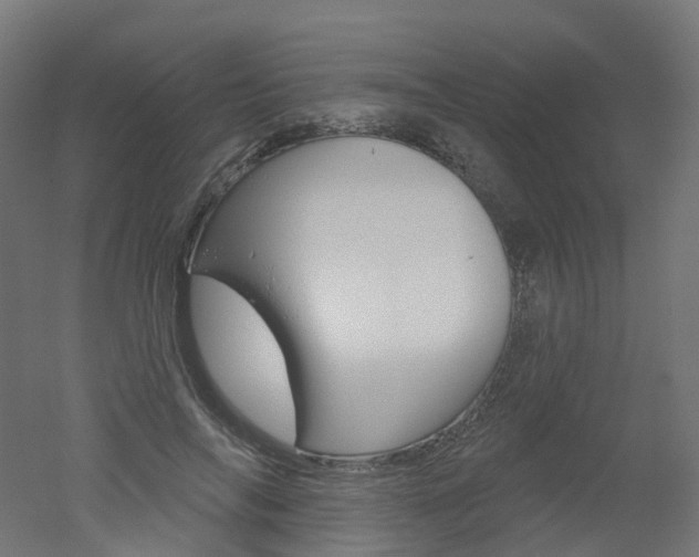 X0000051860694200506241002
