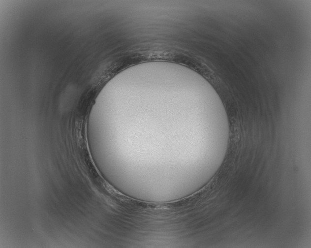 X0000051860695200506241002