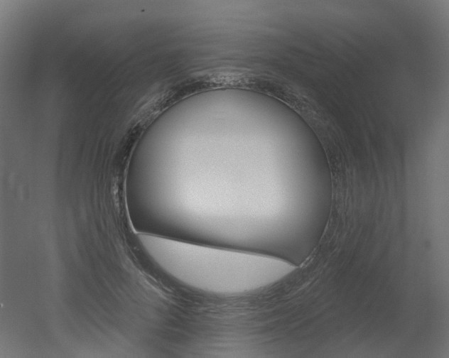 X0000051860696200506241002