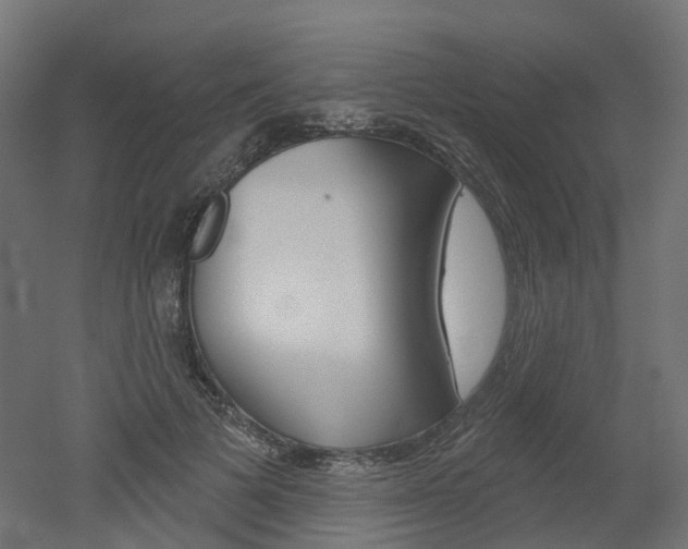 X0000051860697200506241002