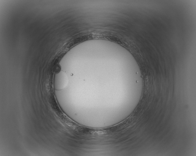 X0000051860698200506241002