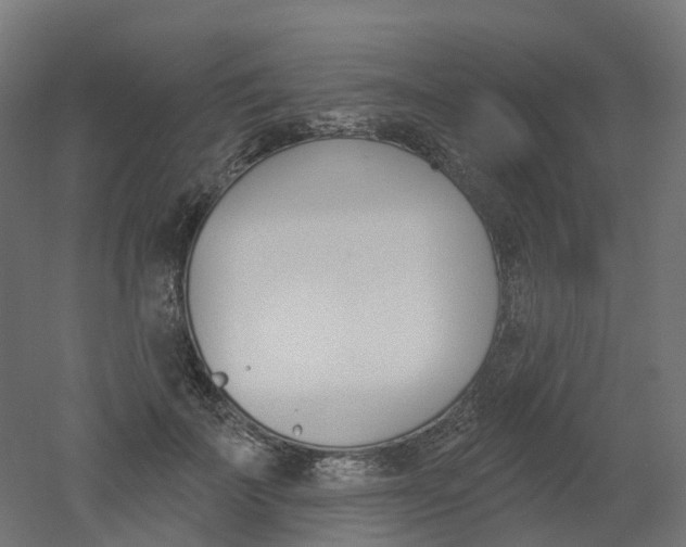 X0000051860699200506241002