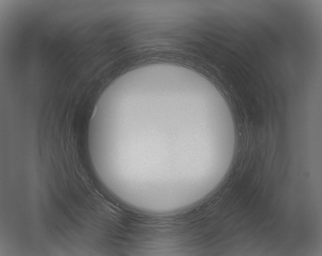 X0000051860701200506241002