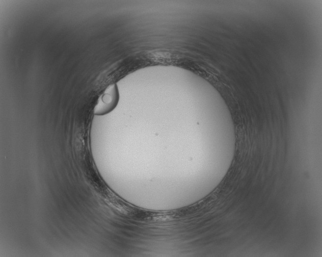 X0000051860702200506241002