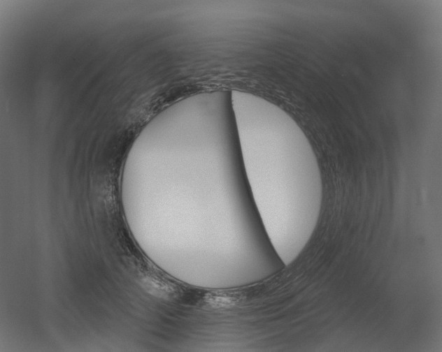 X0000051860706200506241002