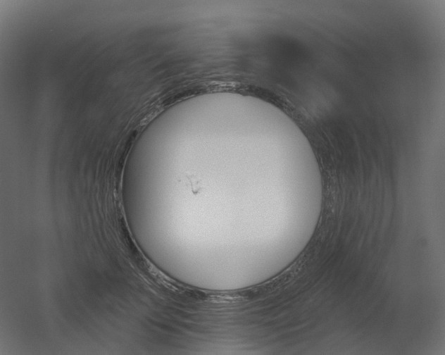 X0000051860707200506241002