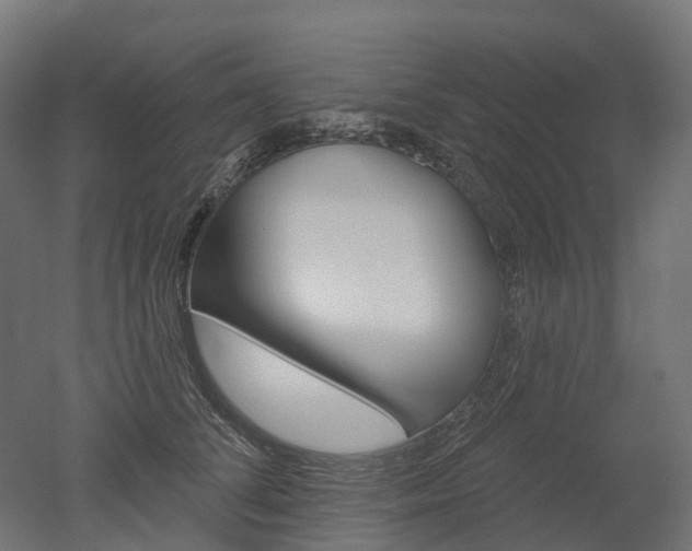 X0000051860708200506241002