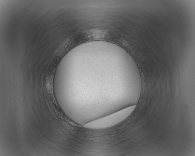 X0000051860709200506241002