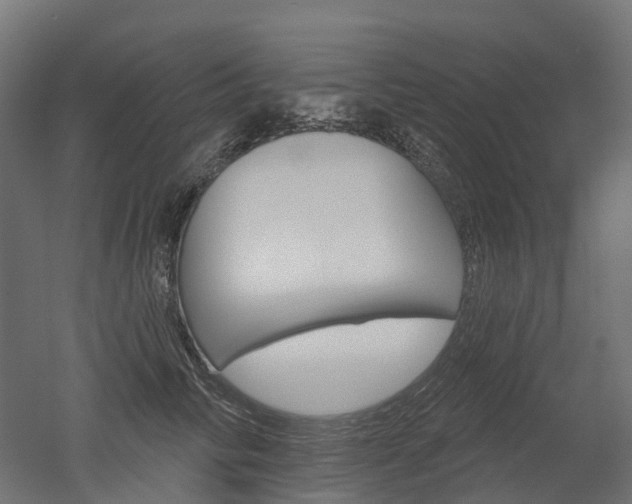 X0000051860710200506241002