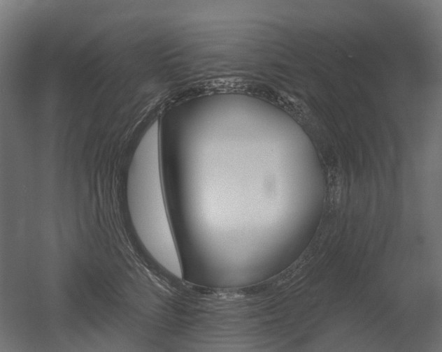 X0000051860712200506241002