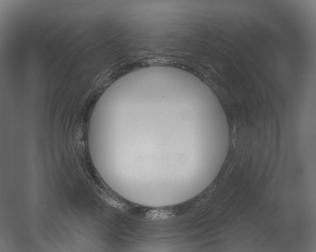 X0000051860714200506241002