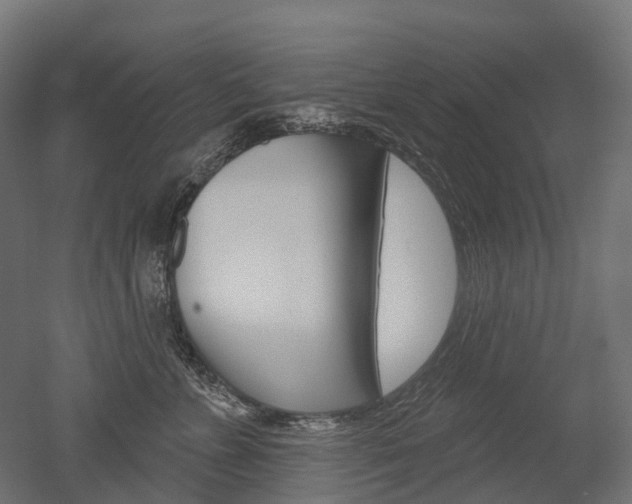 X0000051860715200506241002