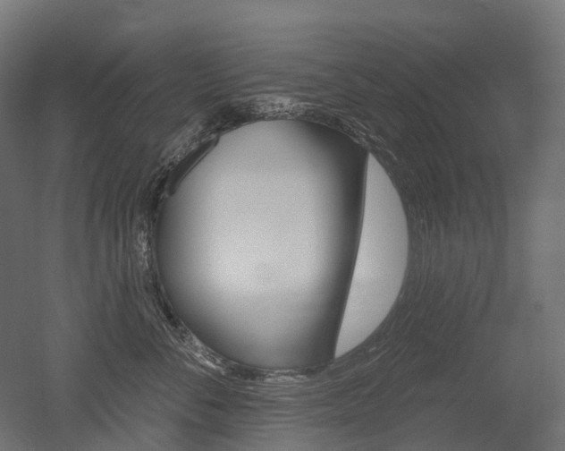 X0000051860716200506241002