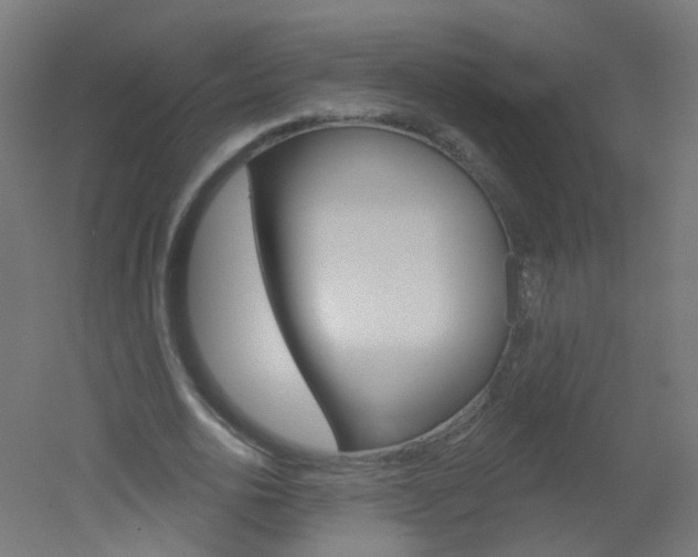 X0000051860726200506241001