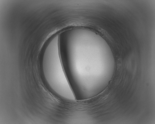 X0000051860727200506241001