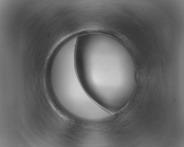 X0000051860728200506241001