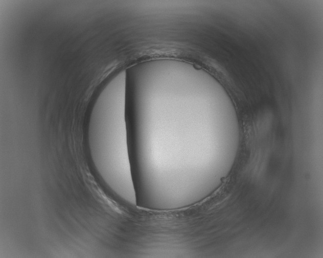 X0000051860729200506241001