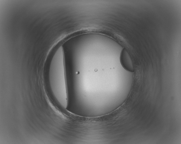 X0000051860730200506241001