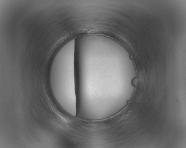 X0000051860733200506241001