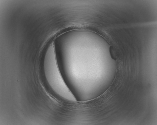 X0000051860736200506241001