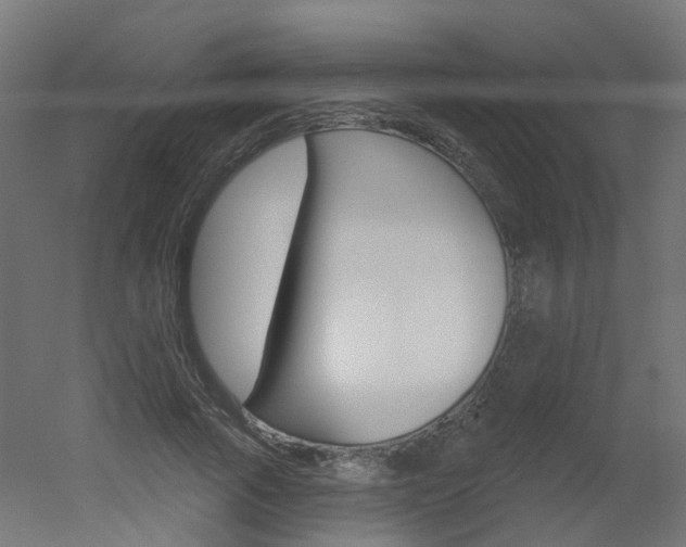 X0000051860737200506241001