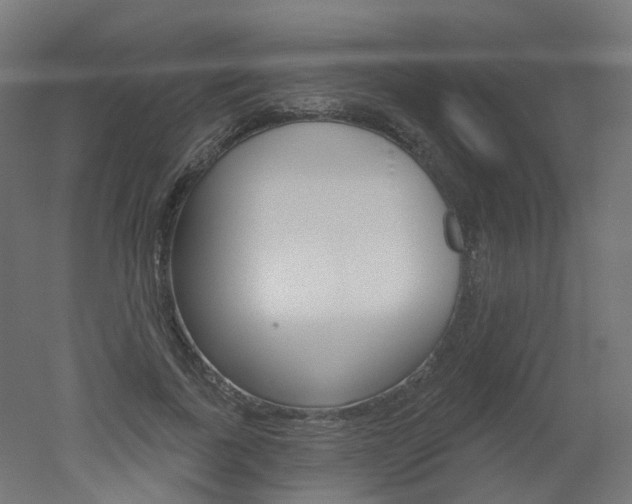 X0000051860739200506241002