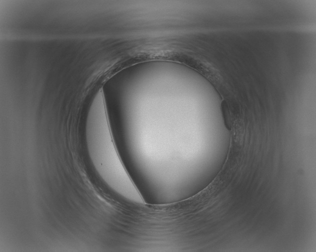 X0000051860740200506241002
