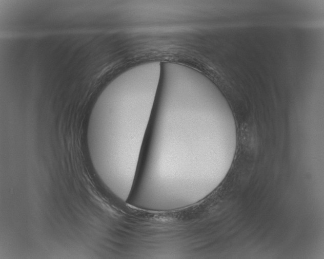 X0000051860741200506241002