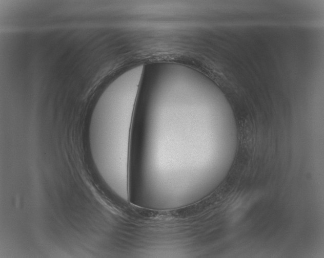 X0000051860742200506241002