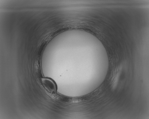 X0000051860746200506241002