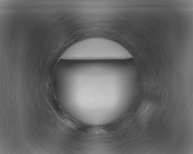 X0000051860747200506241002