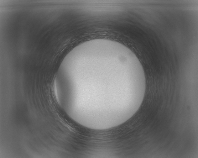 X0000051860750200506241002