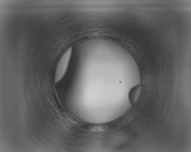X0000051860751200506241002