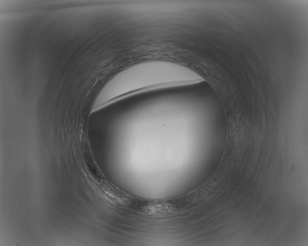 X0000051860752200506241002