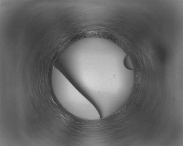 X0000051860753200506241002