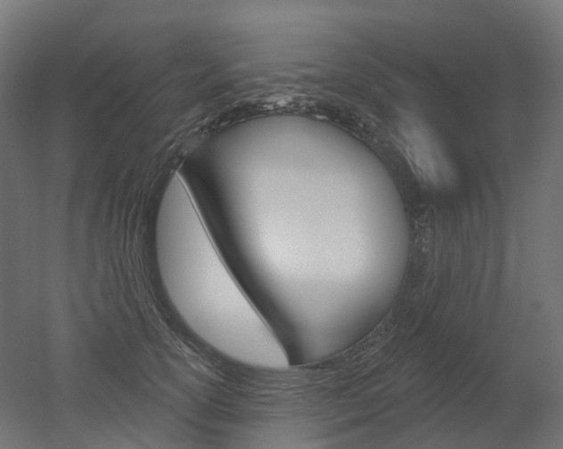 X0000051860754200506241002