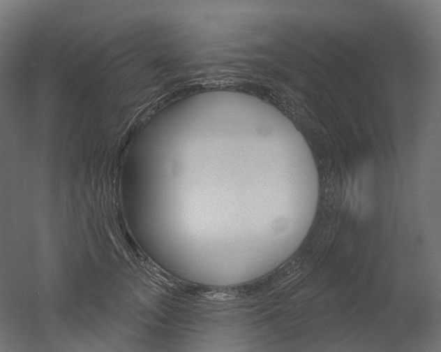 X0000051860755200506241002
