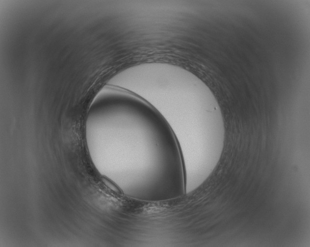X0000051860756200506241002