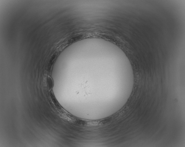X0000051860757200506241002