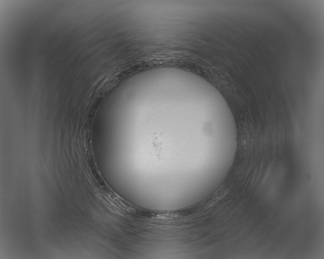 X0000051860758200506241002