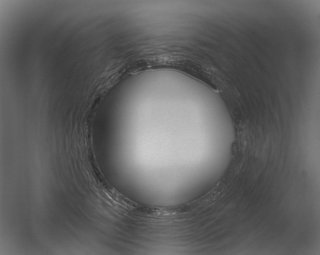X0000051860760200506241002