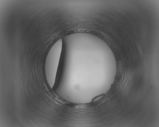 X0000051860761200506241002