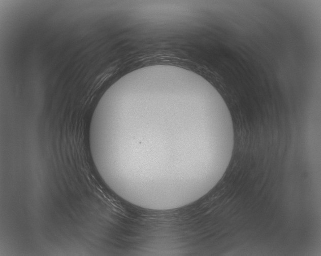 X0000051860762200506241002
