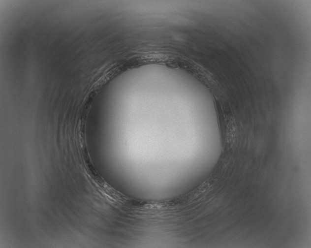 X0000051860764200506241002