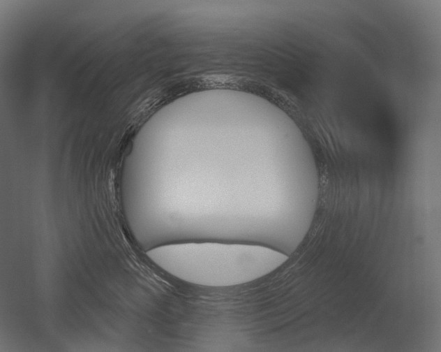 X0000051860765200506241002